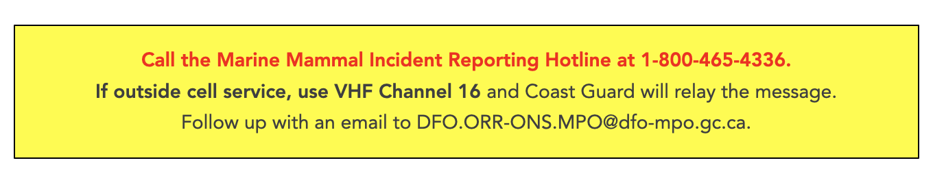 Screen Shot 2025 03 31 at 17.53.41