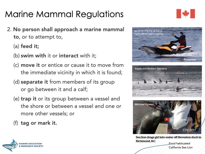 ‎Media Matters 2025 03 28.‎005