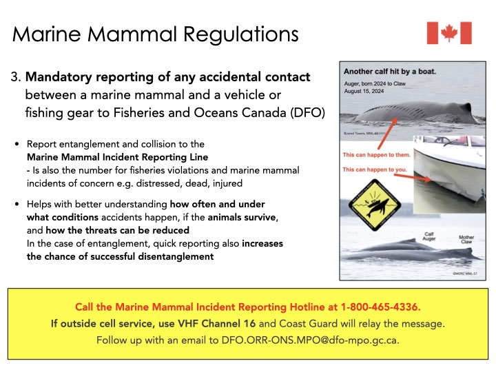 ‎Media Matters 2025 03 28.‎006