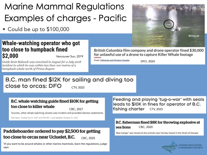 ‎Media Matters 2025 03 28.‎008